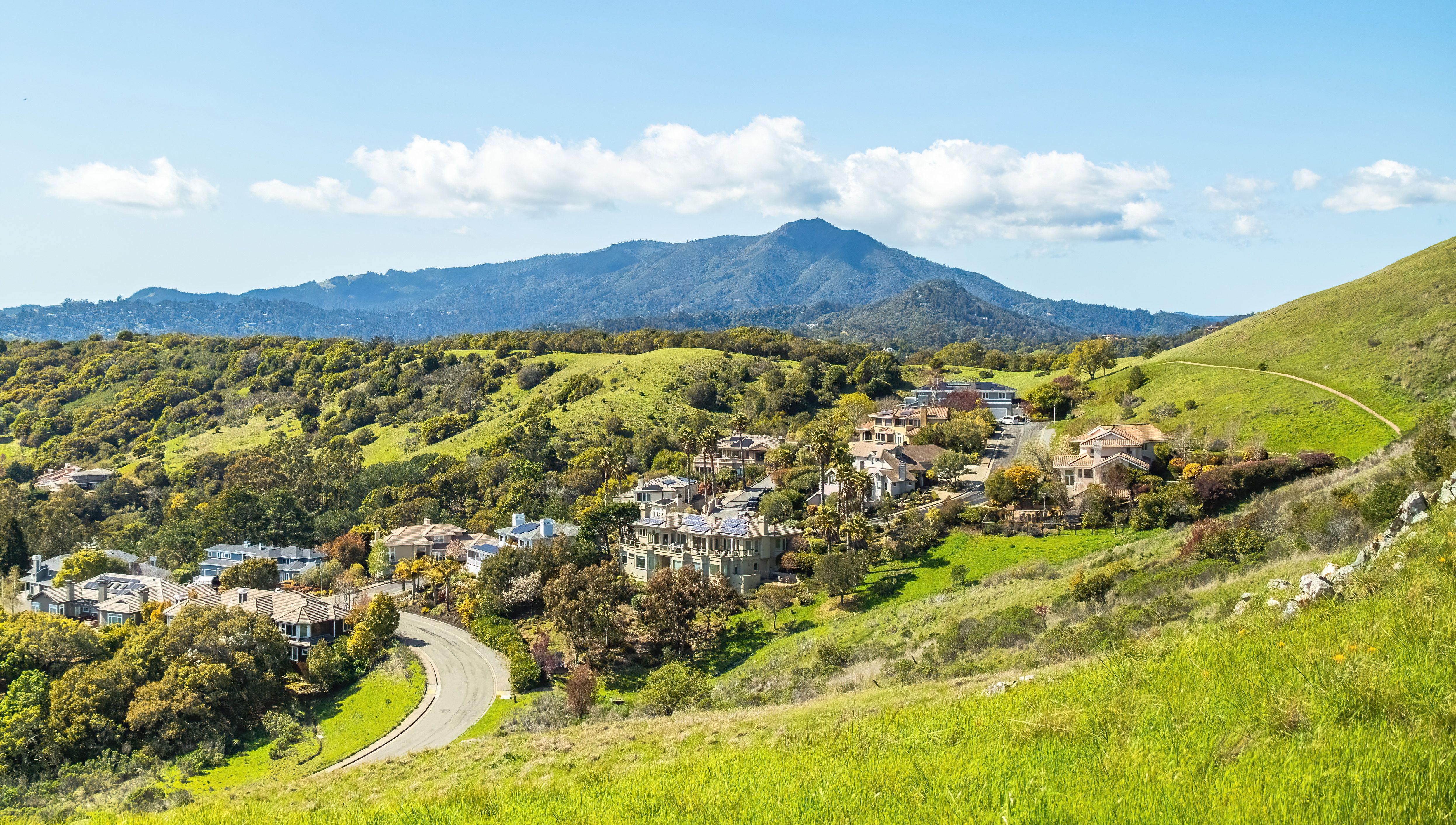Green East Bay hills and Mount Diablo rising behind a residential valley near Lafayette, California